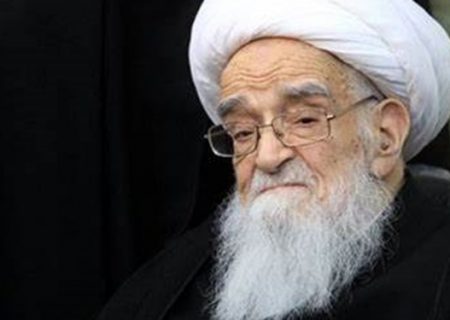 آیت‌الله صافی گلپایگانی: از هیچ فرد، نهاد و جریانی، گله و شکایتی ندارم