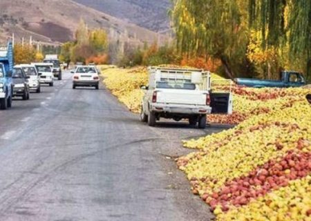 سه اقدام دولت برای حمایت از باغداران/سیب صادر و ذخیره سازی می شود