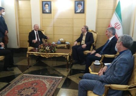 وزیر کشور ترکیه وارد تهران شد