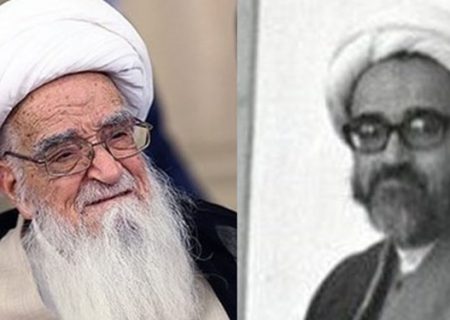 اصلاح‌طلبان و لباس گشاد حمایت از مراجع تقلید/ دولت میرحسین چگونه آیت‌الله صافی را وادار به استعفا کرد؟