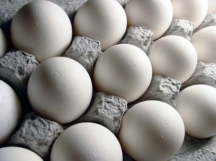 تخم مرغ ارزان شد؟ – ایسنا