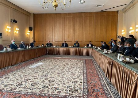 شیخ الاسلامی: زمینه‌های مساعدی برای توسعه روابط علمی، پژوهشی و آموزشی با کنگو وجود دارد