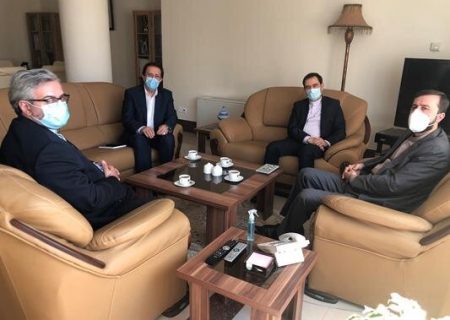 تسهیل خدمات‌رسانی به ایرانیان خارج از کشور و رسیدگی به وضعیت ایرانیان زندانی