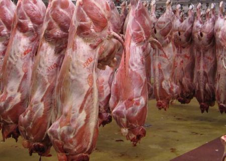 موازنه منفی تولید گوشت قرمز در خوزستان / لزوم رفع ممنوعیت واردات دام