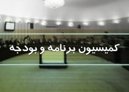 بررسی تحقیق و تفحص از تخصیص ۱ میلیارد یورو اعتبار مقابله با کرونا در کمیسیون برنامه و بودجه مجلس