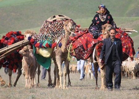 وضعیت عشایر فراتر از بحران است/ سازمان پشتیبانی امور دام اقدام کند