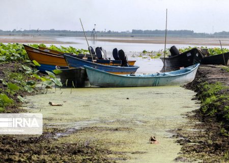 باران‌های فصلی درد تالاب انزلی را دوا نمی‌کند