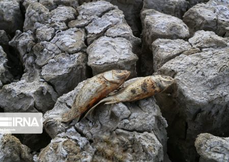 بقای میراث فرهنگی بشر در گروی نجات محیط زیست است