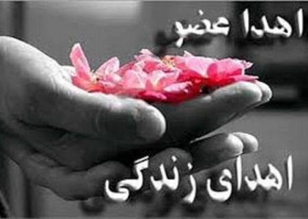 افزایش ۴۴ درصدی پیوند کلیه از فرد مرگ مغزی نسبت به سال گذشته 