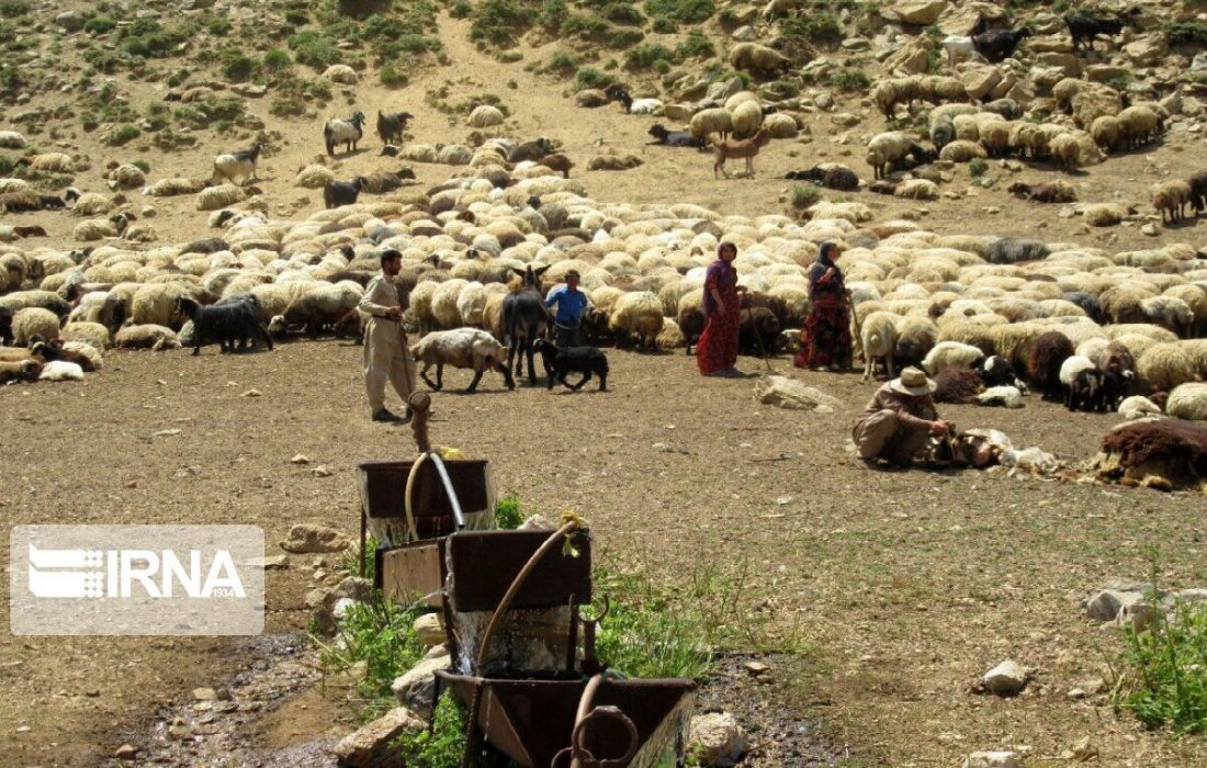 حدود ٩٠ درصد جامعه عشایری شاهرود واکسن کرونا زدند