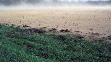مالچ رسی ساخت ایران به یاری محیط‌ زیست آمد