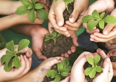 دانش‌آموزان و معلمان قمی در حفظ منابع طبیعی مشارکت می‌کنند