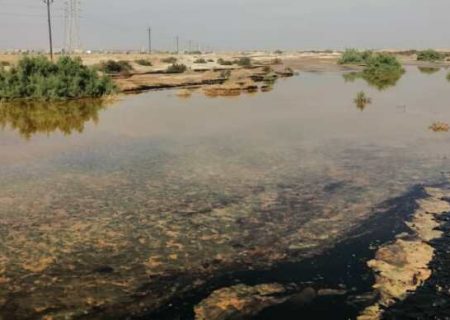 آلودگی نفتی لکه‌ای تکراری بر دامن محیط زیست گناوه