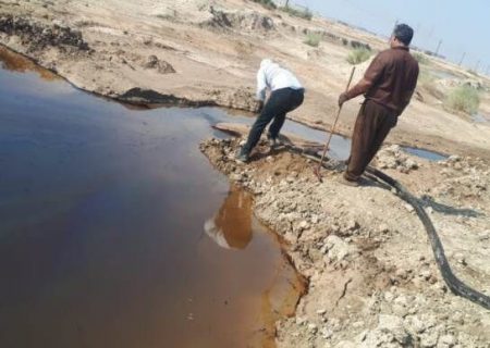 جمع آوری لکه‌های نفتی در اراضی آلوده گناوه آغاز شد
