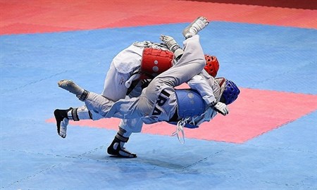 اعضای کمیسیون ورزشکاران، داوران و مربیان فدراسیون تکواندو مشخص شدند