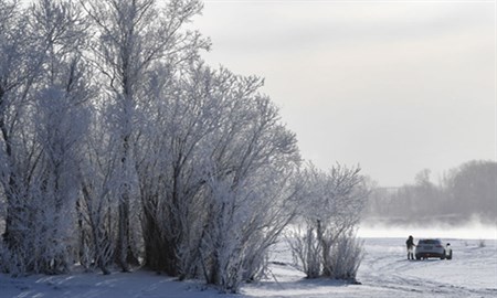 عکس/سیبری غرق در برف