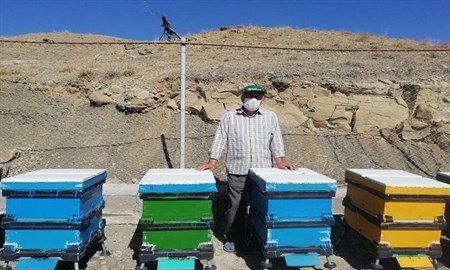 شیرین کامی زنبوردار راز و جرگلانی با استفاده از تکنولوژی روز/ بی‌گدار به آب نزدن باعث موفقیت‌مان شد