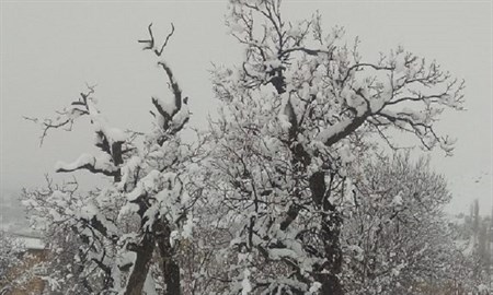 فریدونشهر همچنان رکورددار بیشترین بارش استان اصفهان/ ثبت ۶۳.۹ میلیمتر در بارش های اخیر