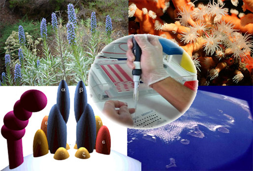 برگزاری سمپوزیوم بینالمللی ایران و فیلیپین در زمینه نانوفناوری کشاورزی