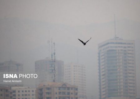 دوراهی آلودگی هوا و معیشت