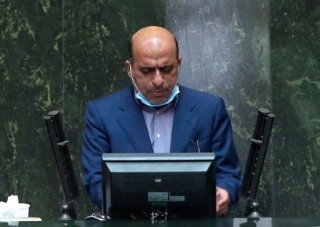 آصفری: طرح صیانت از حقوق عامه در مقابل حیوانات مضر در اولویت کار مجلس نیست