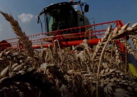 رکوردشکنی جدید افزایش قیمت مواد غذایی جهانی