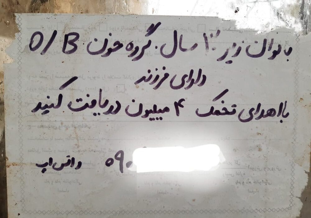 تجارت چراغ خاموش «اهدای تخمک»؛ معاملهای برای فروش «مادری»