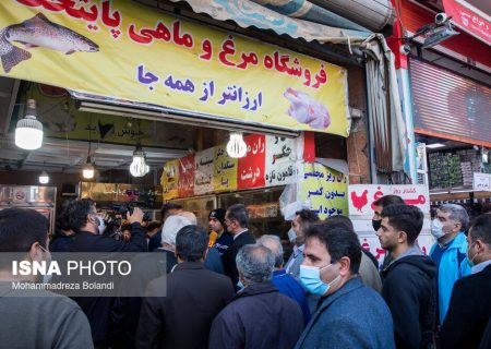 برخورد قاطع با گرانفروشان مرغ و تخم مرغ در تهران