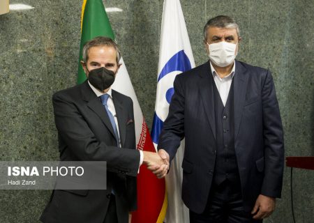 دیدار مدیر کل آژانس بین المللی انرژی اتمی با محمد اسلامی