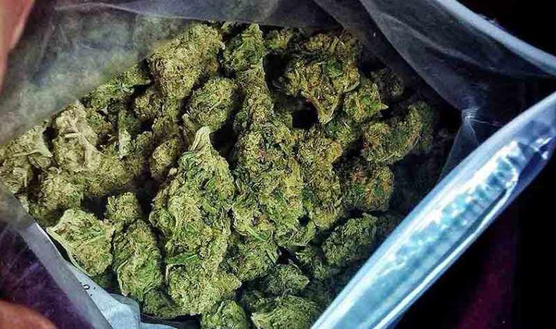 ۲۱ کیلوگرم ماده مخدر گُل در استان کرمانشاه کشف شد