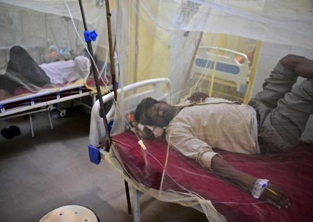 شیوع موج جدید ویروس زیکا در هند