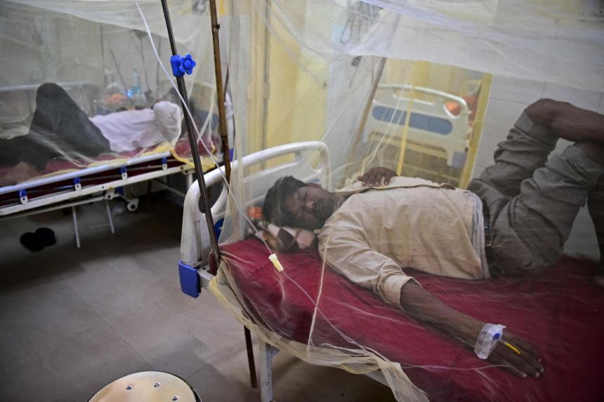 شیوع موج جدید ویروس زیکا در هند
