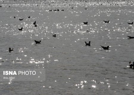 برگزاری نشست بررسی نظام مدیریت منابع آب برای احیای حوضه زاینده رود