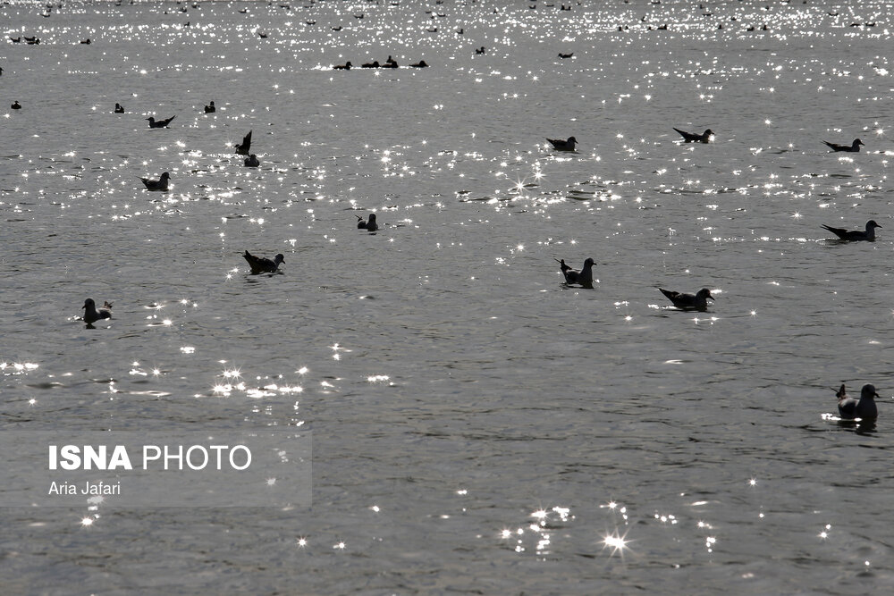 برگزاری نشست بررسی نظام مدیریت منابع آب برای احیای حوضه زاینده رود