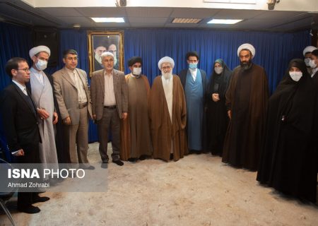 دیدار نمایندگان مجلس با مراجع و علما