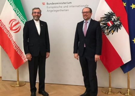 دیدار باقری با وزیر خارجه اتریش