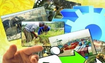 ایجاد ۵۰۰ هزار شغل در حوزه روستایی در سال ۱۴۰۱