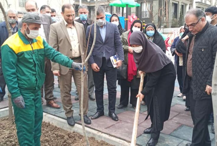 کاشت نهال به نام « مه لقا ملاح» و ایران درودی» در منطقه ۳