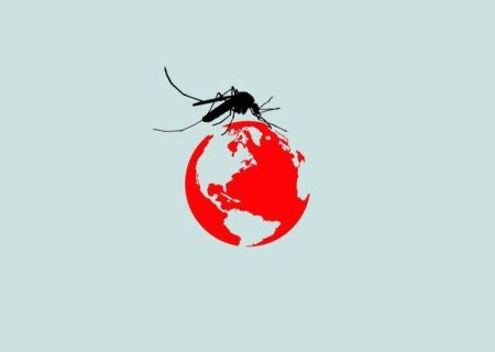 ایران بزرگترین کشور منطقه در حذف مالاریا/ غفلت کنیم این بیماری شعله‌ور می‌شود