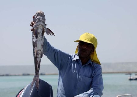 چابهار؛ بهشت آبزی‌پروری کشور و کلید تکمیل زنجیره تولید