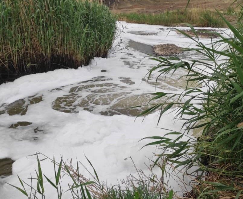 بویی که هیچکس «گردن» نمیگیرد/قرعهکشی مسئولان محلی برای یافتن مقصر و چشمانتظاری پرندیها