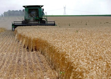 هشدار وزارت کشاورزی آمریکا درباره کاهش تولید جهانی گندم