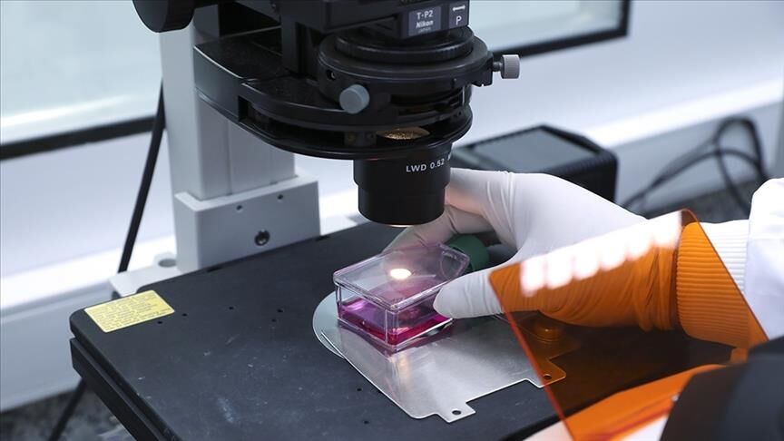 آبله میمونی؛ بیماری بازپدید با گسترش بیش از حد انتظار در جهان