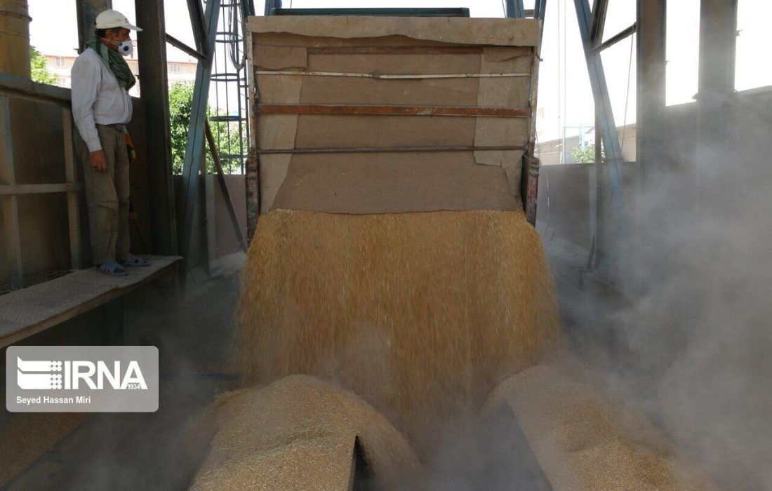 ۲۸۱ نماینده مجلس از اقدامات رئیس جمهور در در موضوع خرید تضمینی گندم قدردانی کردند