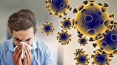 افزایش شیوع  ویروس آنفلوآنزا در کشور