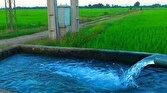 تامین نیاز آبی کشور تنها با کاهش ۱۰درصدی مصرف بخش کشاورزی