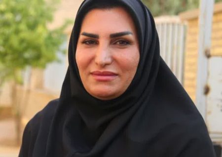 شهر داریون بخش می‌شود