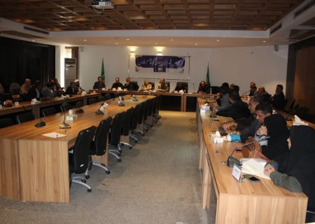 هاشم بانشی، رئیس شورای استان فارس شد