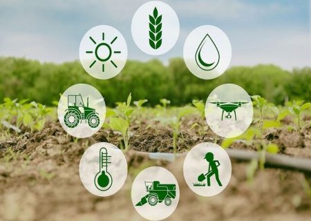 استقرار ۱۴ شرکت دانش بنیان و فناور در حوزه کشاورزی آذربایجان‌غربی