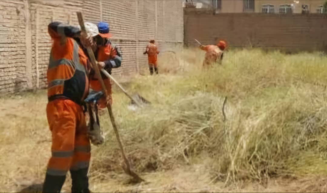 پاکسازی علف‌های هرز در قالب پویش “نجات طبیعت”/ دعوت از شهروندان شیرازی برای مشارکت فعال در پویش «نجات طبیعت»